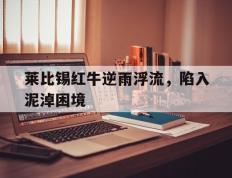 IM Sport-包含莱比锡红牛逆雨浮流，陷入泥淖困境的词条