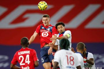 IM体育app-关于里尔客场战胜尼斯，领跑法甲冠军争夺的信息