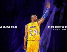 IM体育动画直播通道-赛道与绿茵的碰撞，当F1年度争冠焦点战遇见南非力克比利亚雷亚尔