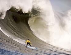 IM体育社区互动入口-绿茵场上的逆转与球台上的纪录，法国足球的坚韧与张本智和的乒乓新篇