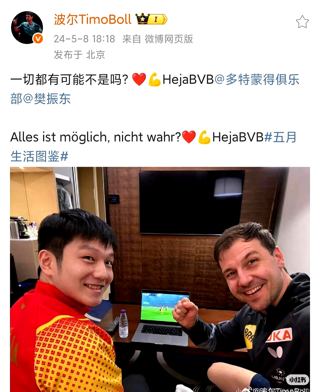 IM体育官网-日本乒乓球队翻盘法国乒乓球队，波尔高光表现的简单介绍